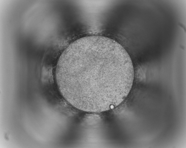 X0000103900572200810031152