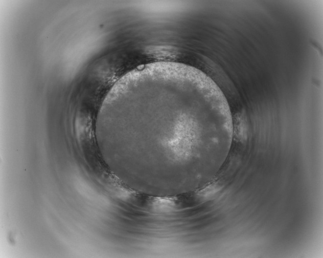 X0000103900573200810031152