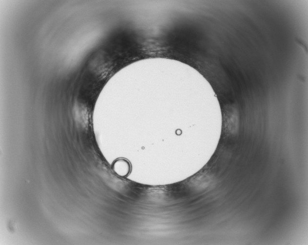 X0000103900574200810031152