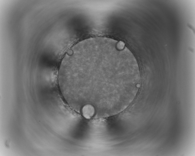 X0000103900576200810031152