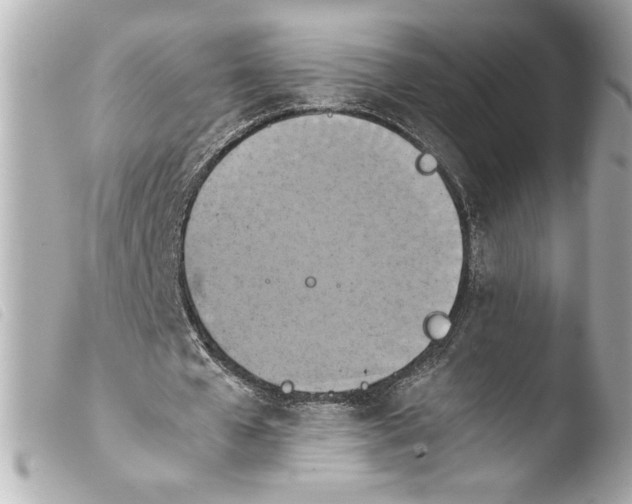 X0000103900577200810031151