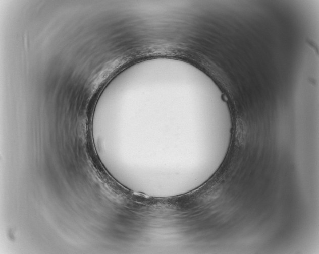 X0000103900578200810031151