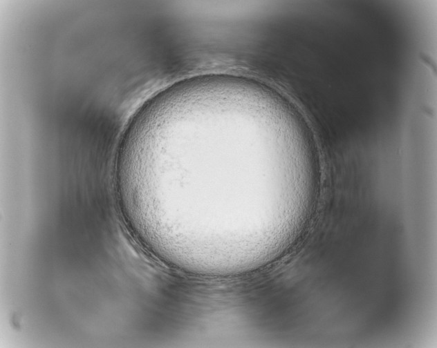 X0000103900579200810031151