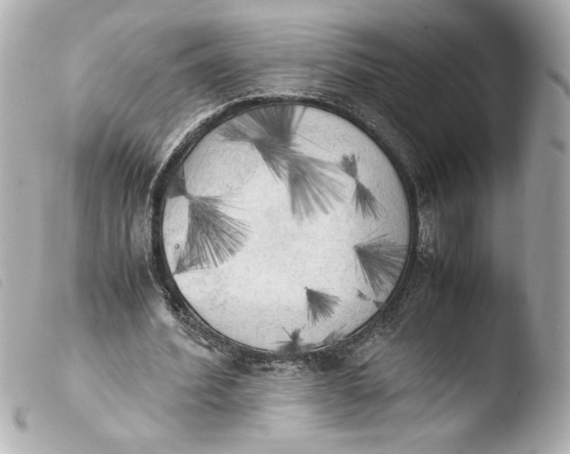 X0000103900580200810031151