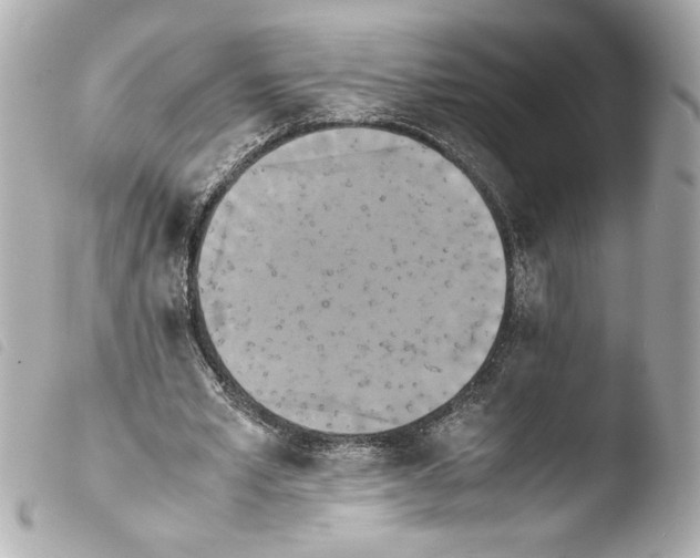 X0000103900581200810031151