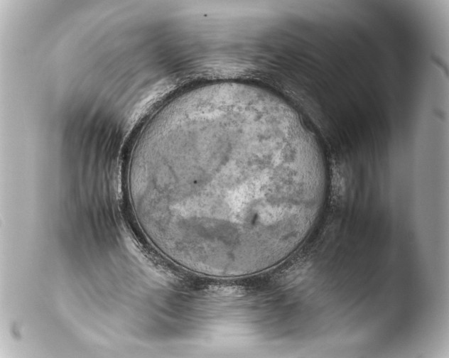 X0000103900582200810031151