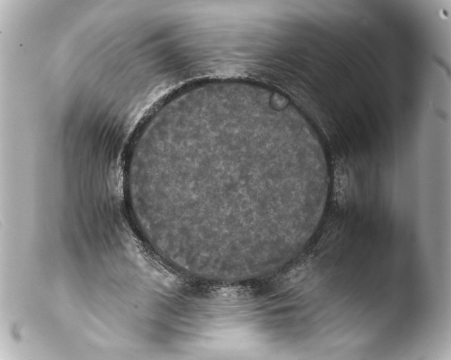 X0000103900584200810031151