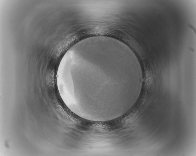 X0000103900585200810031151