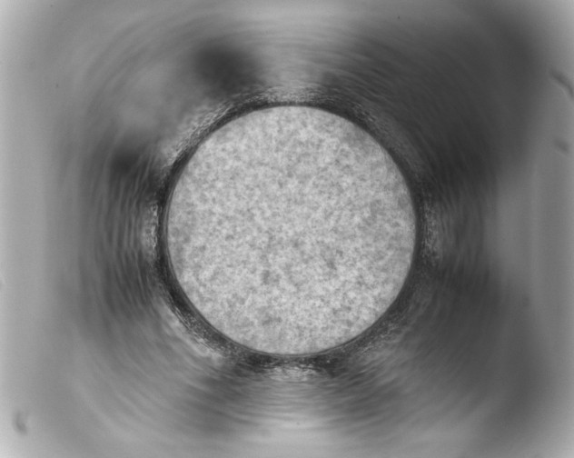 X0000103900586200810031151