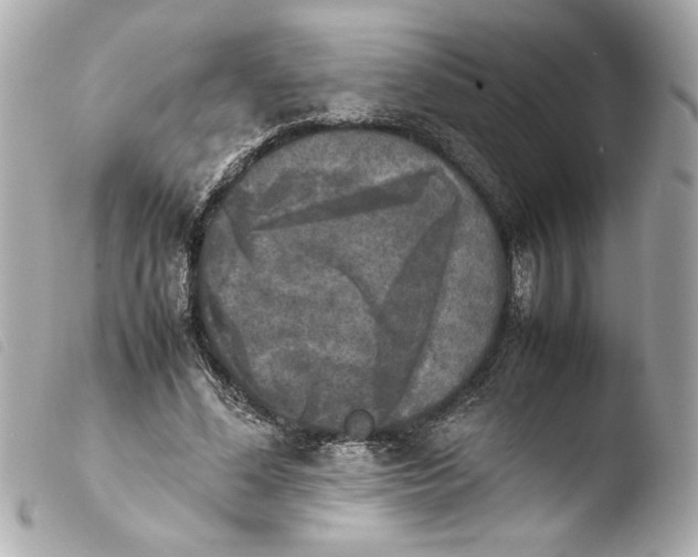 X0000103900588200810031151