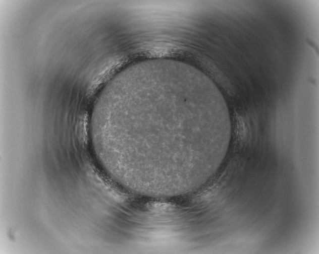 X0000103900590200810031151