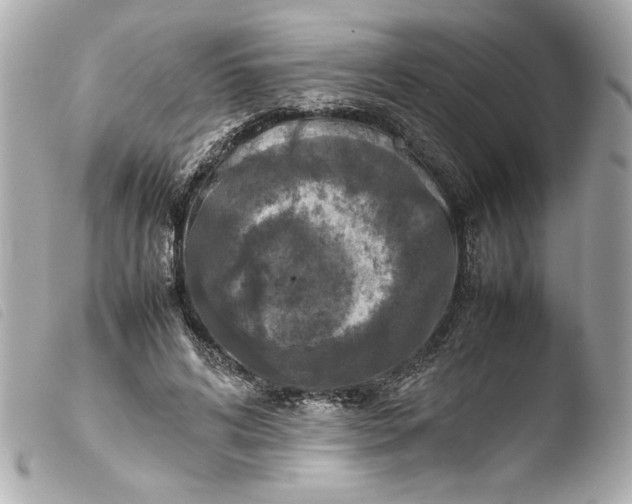 X0000103900592200810031151