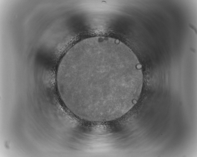 X0000103900593200810031151