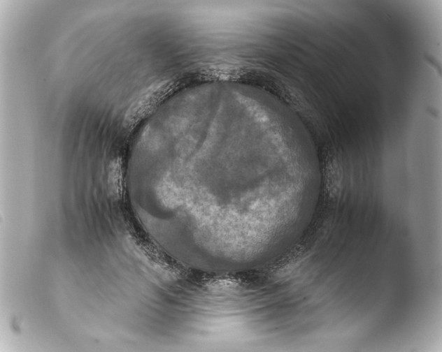 X0000103900594200810031151