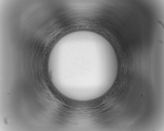 X0000103900595200810031151