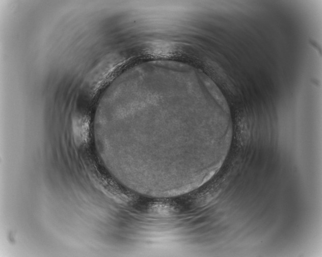 X0000103900596200810031151