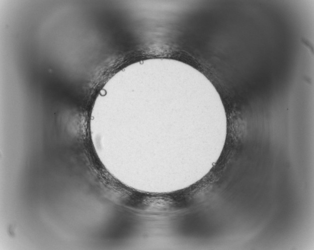 X0000103900597200810031151