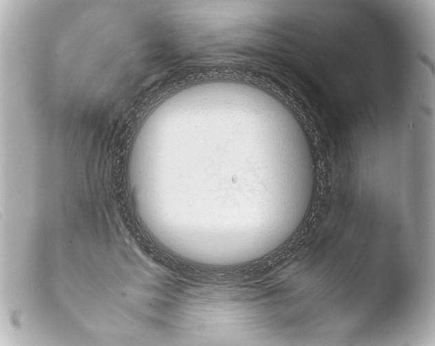 X0000103900599200810031151