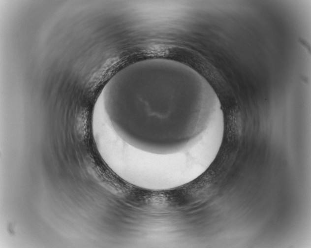 X0000103900600200810031151