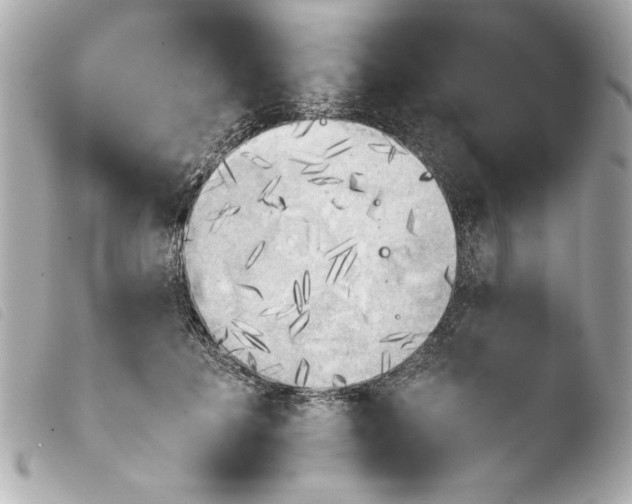 X0000103900601200810031151