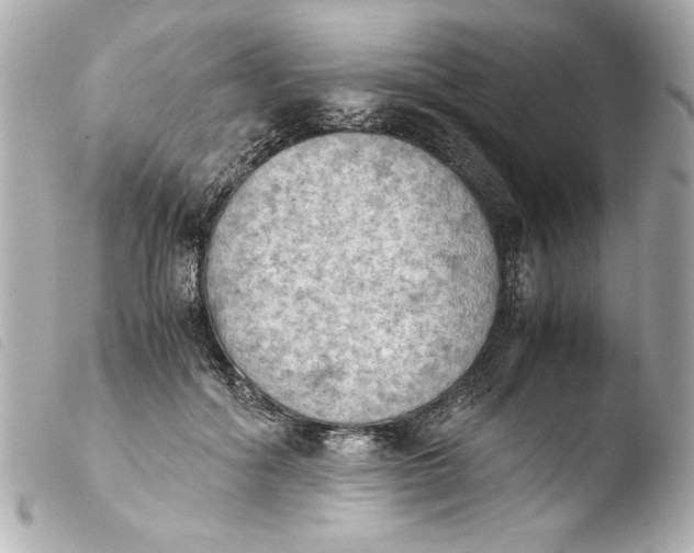 X0000103900602200810031151