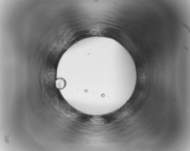 X0000103900603200810031151