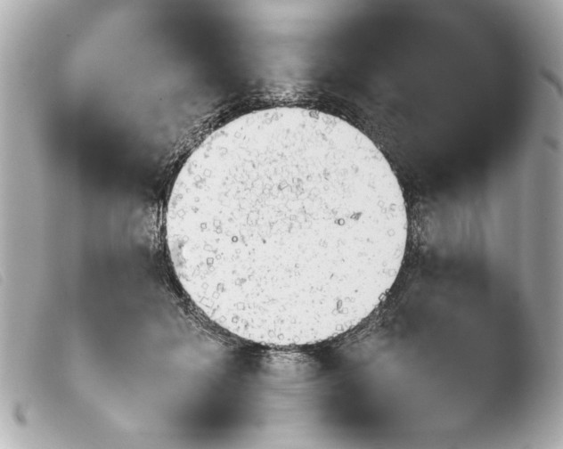 X0000103900605200810031151