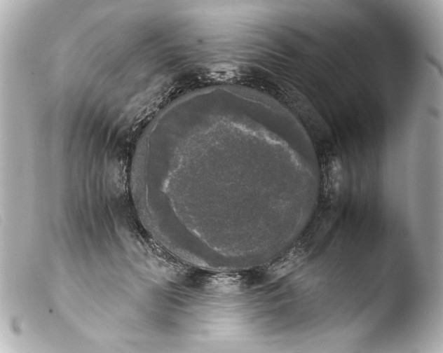 X0000103900606200810031151