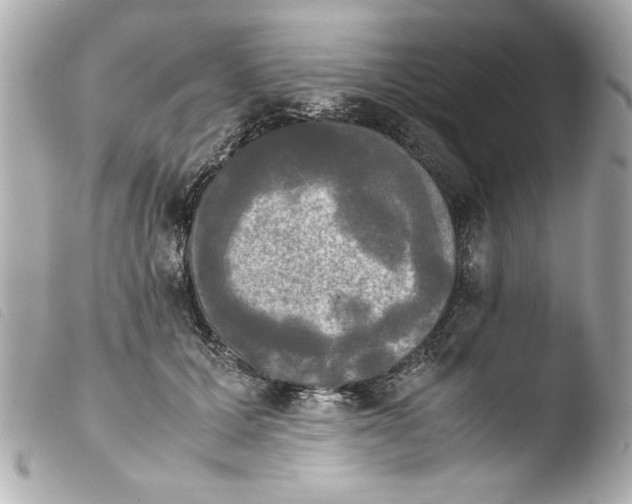 X0000103900607200810031151