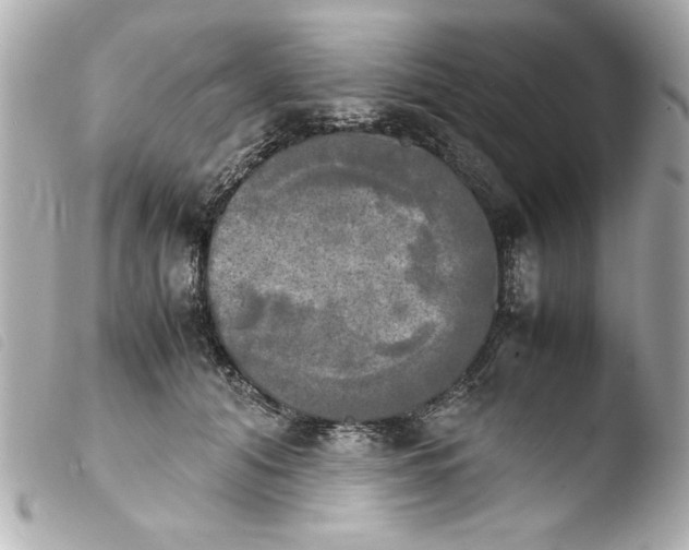 X0000103900608200810031151