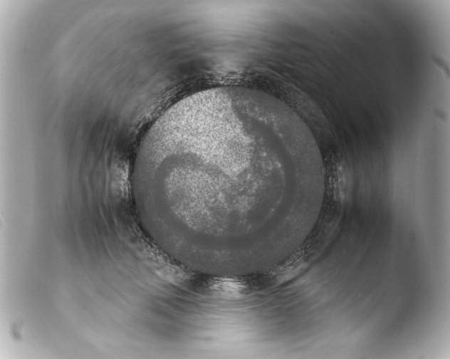 X0000103900610200810031151