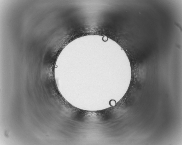 X0000103900611200810031151