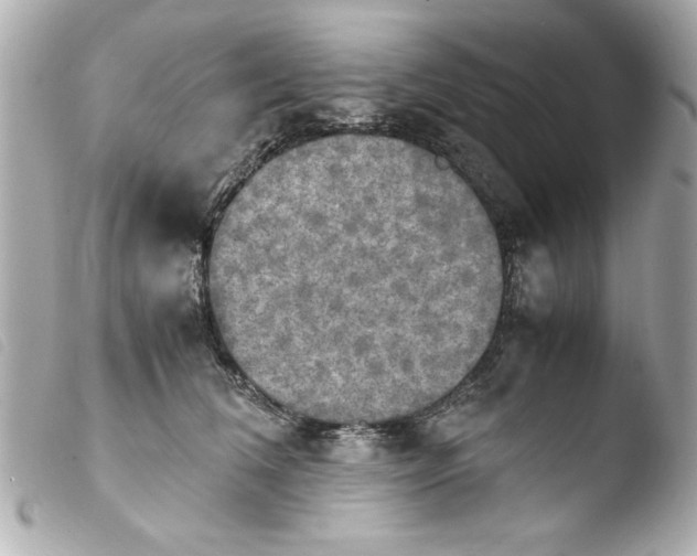 X0000103900612200810031151