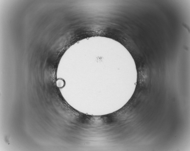 X0000103900613200810031151