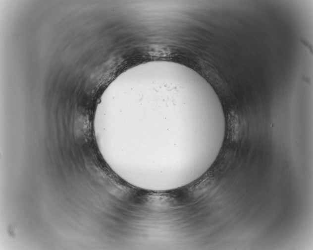 X0000103900614200810031151