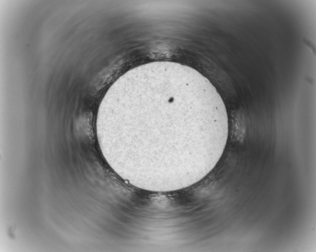 X0000103900616200810031151