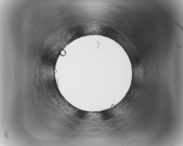 X0000103900617200810031151