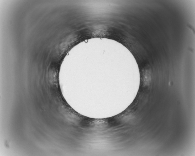 X0000103900619200810031151