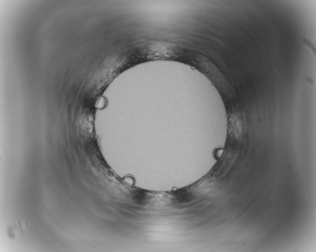 X0000103900621200810031150