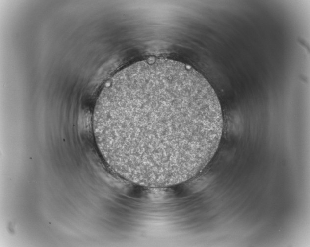 X0000103900623200810031150