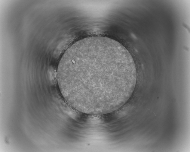 X0000103900624200810031150