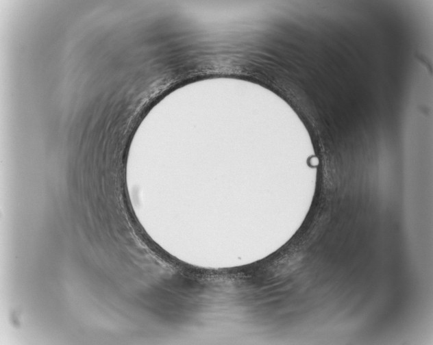 X0000103900625200810031150