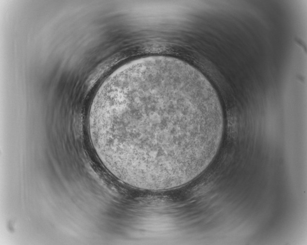 X0000103900626200810031150