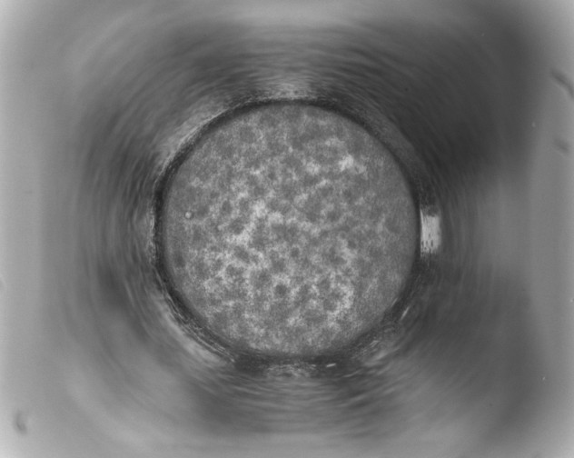 X0000103900627200810031150