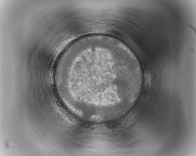 X0000103900628200810031150