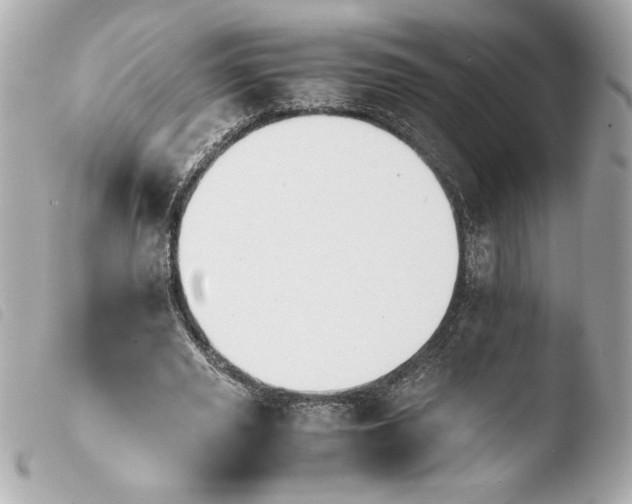 X0000103900629200810031150