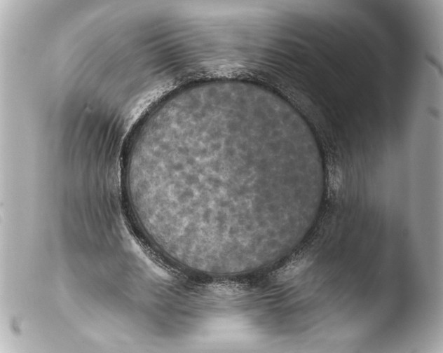 X0000103900630200810031150