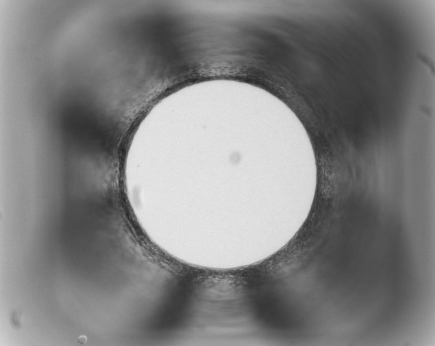 X0000103900631200810031150