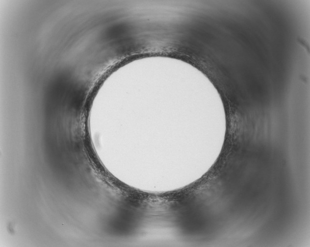 X0000103900632200810031150