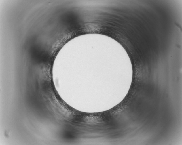 X0000103900633200810031150